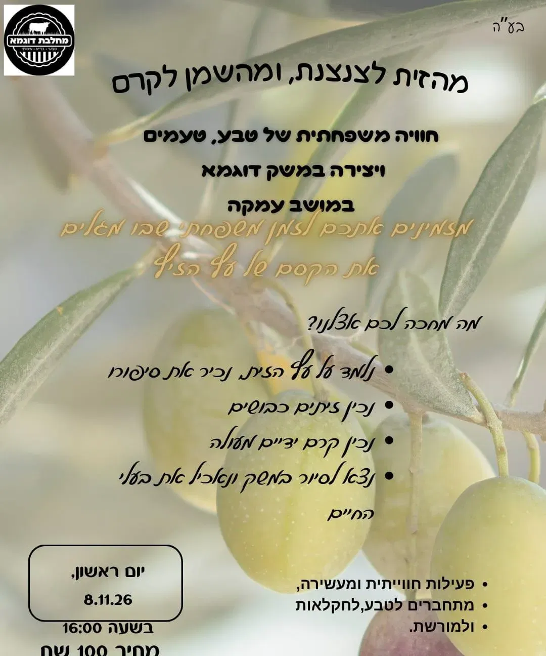 מהזית לצנצנת, ומהשמן לקרם