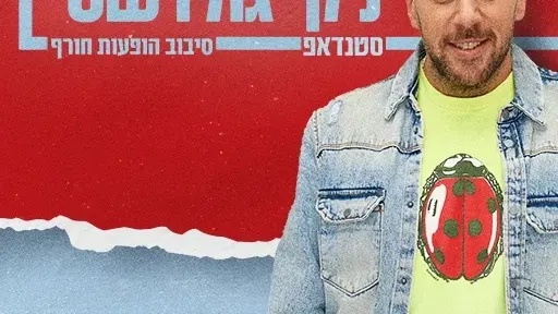 ניקי גולדשטיין
