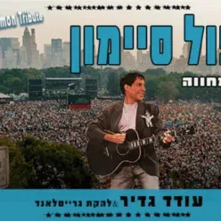 פול סיימון - המחווה