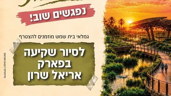 קהילה מטיילת סיור שקיעה