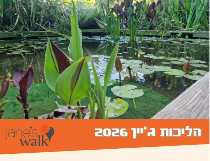 מה מספרים העצים
