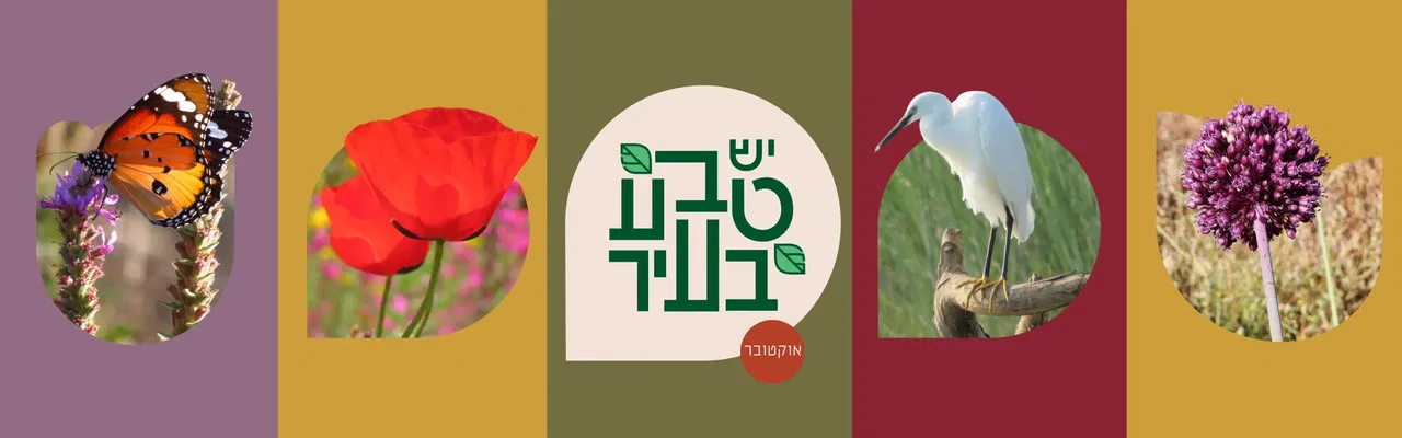 סיור ניטור בנחל פרדסים
