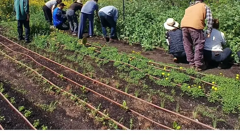 חוג גינון לילדים בגן ירק היצרני