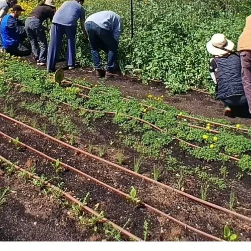 חוג גינון לילדים בגן ירק היצרני