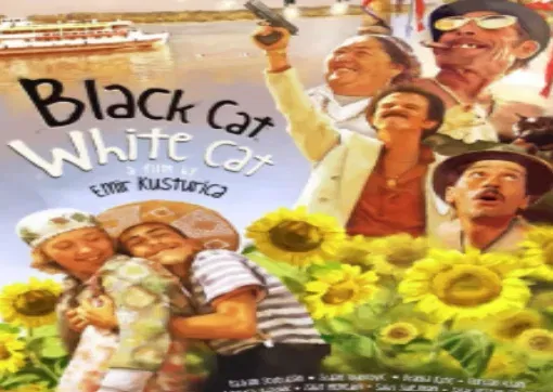 "חתול שחור חתול לבן"