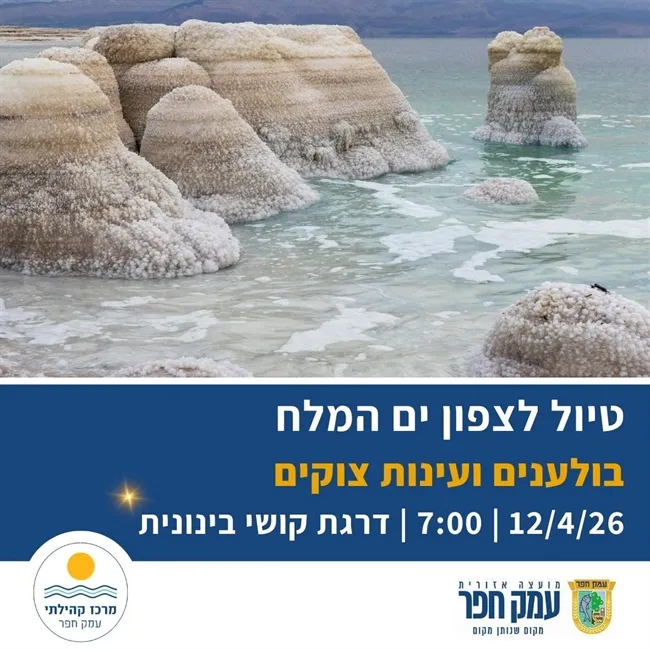 טיול לצפון ים המלח: בולענים ועינות צוקים | דרגת קושי בינונית