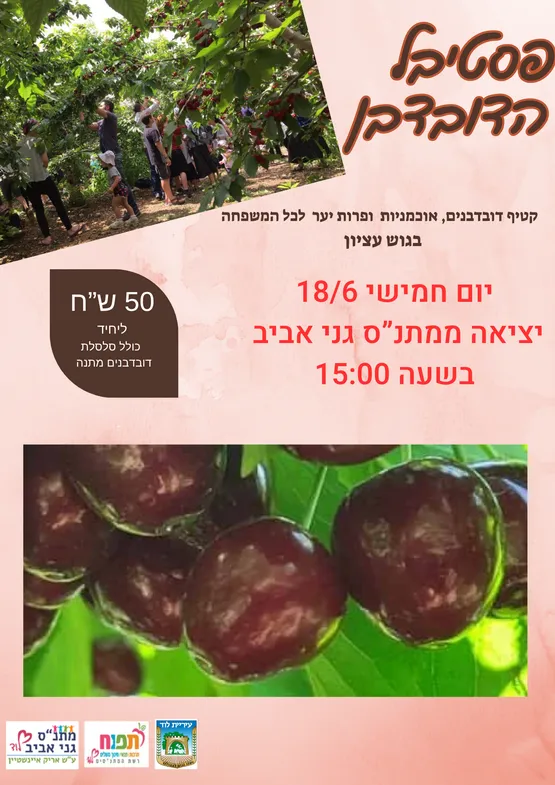 טיול קטיף דובדבנים בגוש עציון