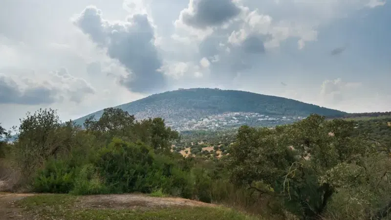 נופש מסורתי – עונג שבת בלב הגליל