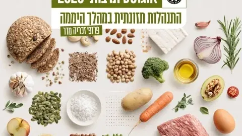 התנהלות תזונתית במהלך היממה