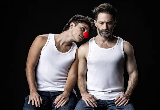 החולה ההודי | הקאמרי