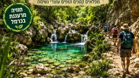 שבת 13/6: טיול טבע נחל בוסתן בהר הכרמל הירוק תמיד