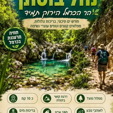 שבת 13/6: טיול טבע נחל בוסתן בהר הכרמל הירוק תמיד