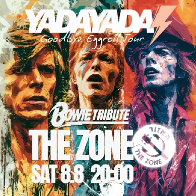 STARDUST - DAVID BOWIE TRIBUTE