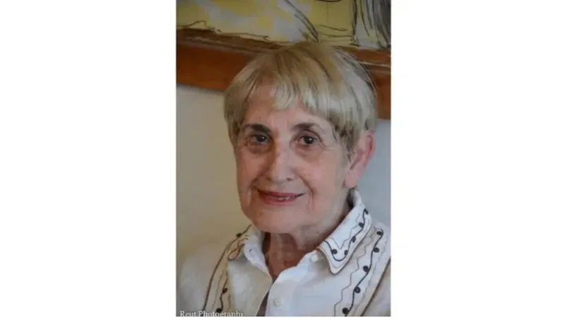 השטירמר כמשל: כוחה של תקשורת חזותית