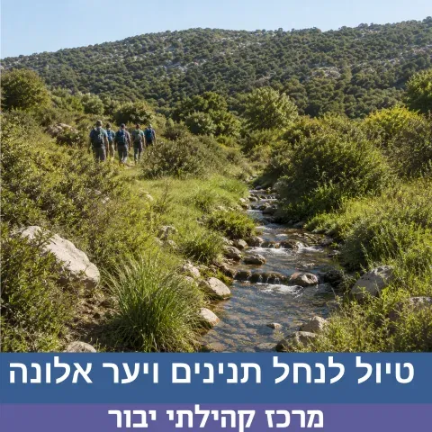 טיול ליער אלונה ונחל תנינים