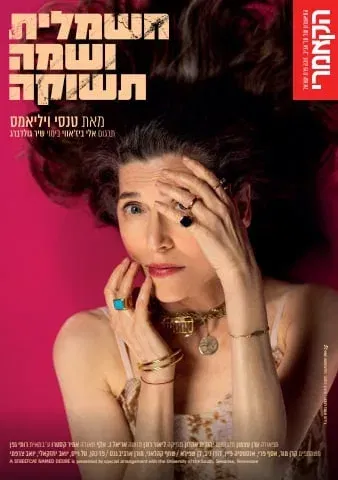חשמלית ושמה תשוקה - התיאטרון הקאמרי
