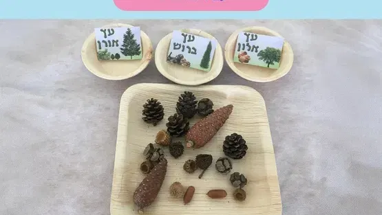 מפגש מונטוסרי סתיו עם לימור דוידי -שנה וחצי עד שלוש
