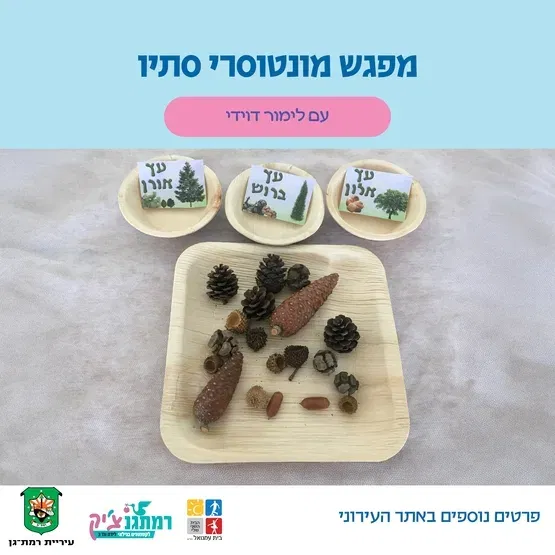 מפגש מונטוסרי סתיו עם לימור דוידי -שנה וחצי עד שלוש