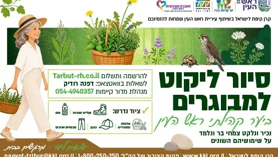 סיור ליקוט למבוגרים