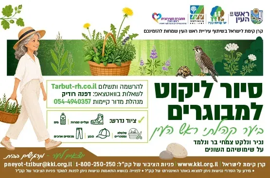 סיור ליקוט למבוגרים