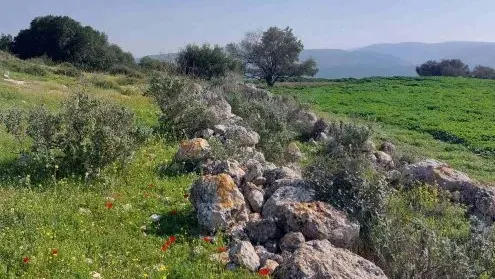 בין תלים וממלכות: סיור מתל ירמות לחורבת קיאפה ותל שוכה