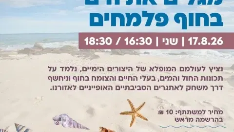 סיור "מגלים את הים" חוף פלמחים