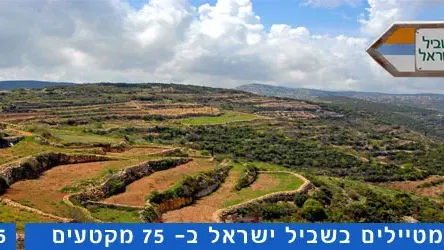 שביל ישראל קטע 35 מתל לכיש ועד תל קשת