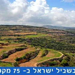 שביל ישראל קטע 35 מתל לכיש ועד תל קשת
