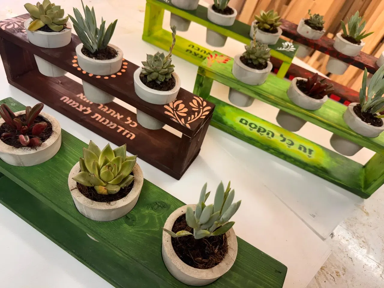 סדנת נגרות ובטון חוויתית : 3 עציצי בטון על סטנד מעץ