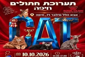 תערוכת חתולים בינלאומית בחיפה