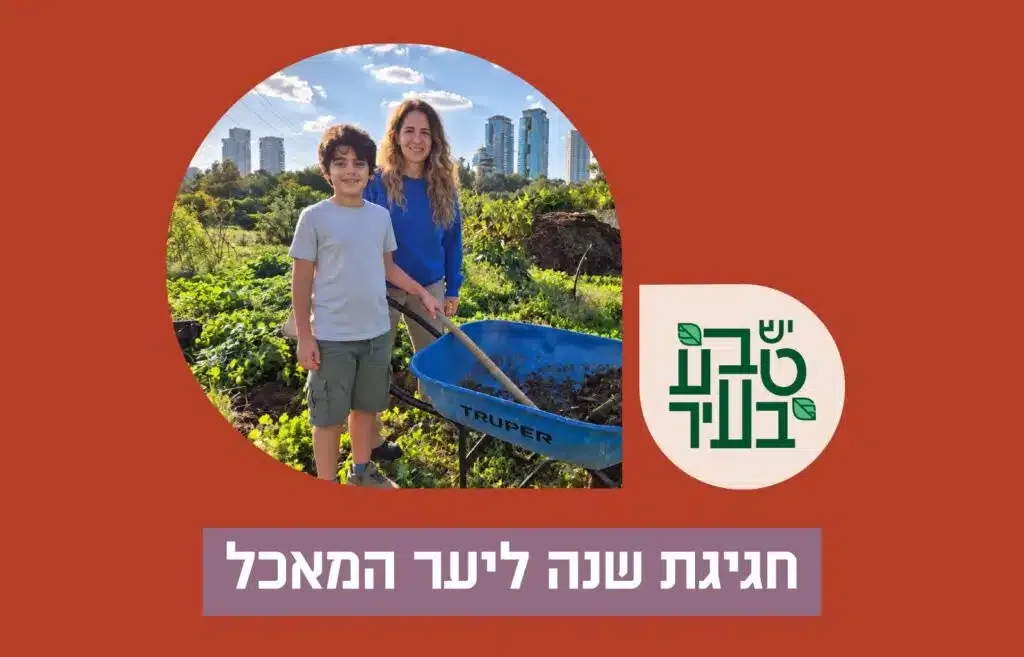 מסיק זיתים וחגיגת שנה ליער המאכל
