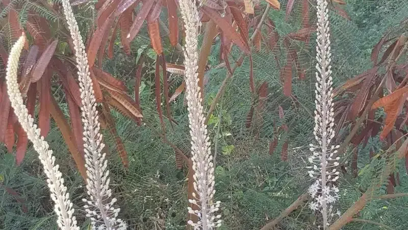 בין סתיו לחורף בפארק בגין