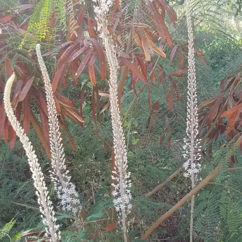 בין סתיו לחורף בפארק בגין