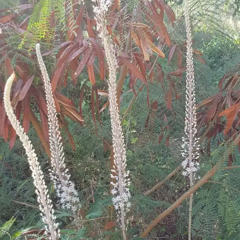 בין סתיו לחורף בפארק בגין