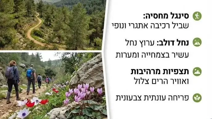 שבת 10/10 טיול טבע: סינגל מחסיה ונחל דולב, הרי ירושלים