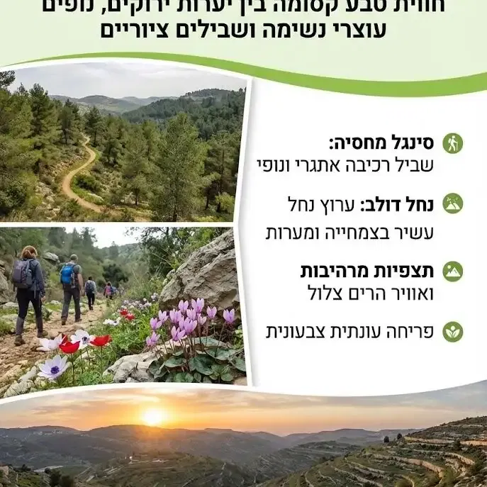 שבת 10/10 טיול טבע: סינגל מחסיה ונחל דולב, הרי ירושלים
