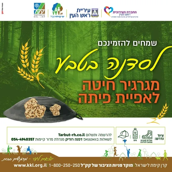 מגרגיר החיטה לפיתה
