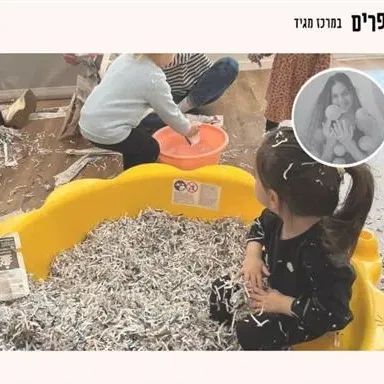 פרפרים מתנסים בחומרים במגיד