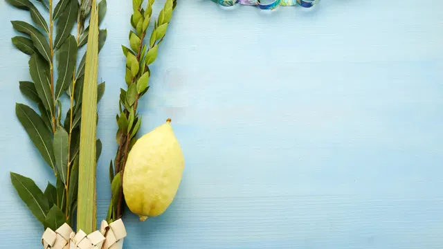 מרכז הנוער העירוני בית רם