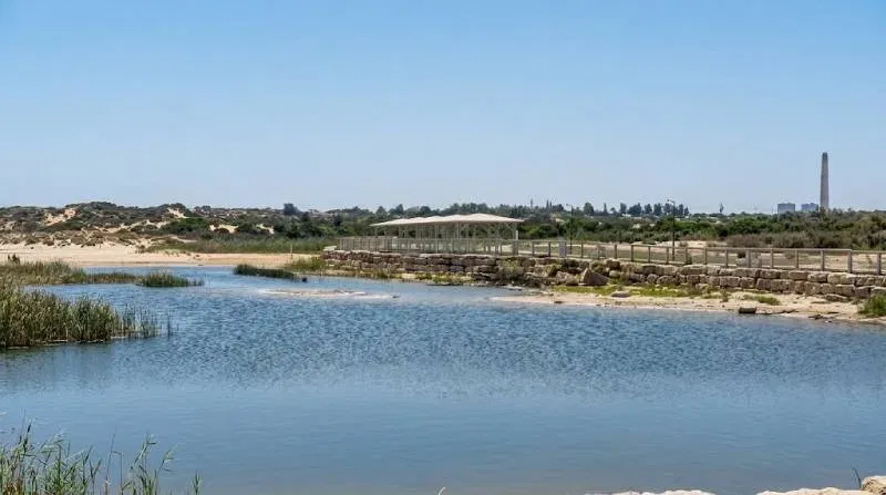 מישור החוף הדרומי (עוטף עזה)