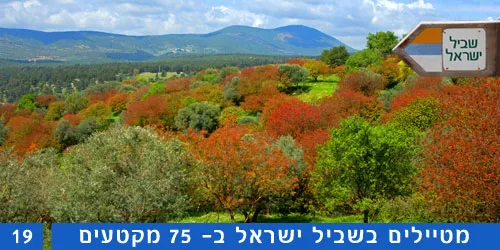 מטיילים בשביל ישראל קטע 19 רכס הכרמל מעין הוד עד מצפה עופר