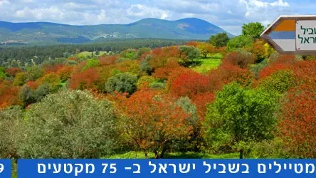 מטיילים בשביל ישראל קטע 19 מכביש עופר, מאיר שפיה עד זכרון יעקב