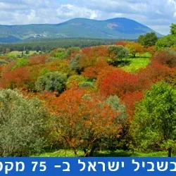 מטיילים בשביל ישראל קטע 19 מכביש עופר, מאיר שפיה עד זכרון יעקב