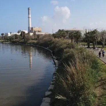 סיור לאורך הירקון: בין שירים, היסטוריה וחלומות