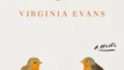 The Correspondent, by Virginia Evans