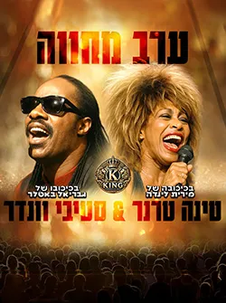 המחווה לסטיבי וונדר וטינה טרנר