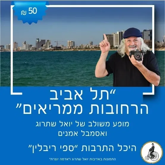 "תל אביב - הרחובות ממריאים" עם יואל שתרוג ואסמבל