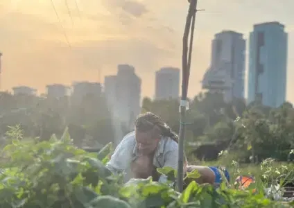 מסיק קהילתי וחגיגת שנה ליער המאכל האקולוגי בחווה