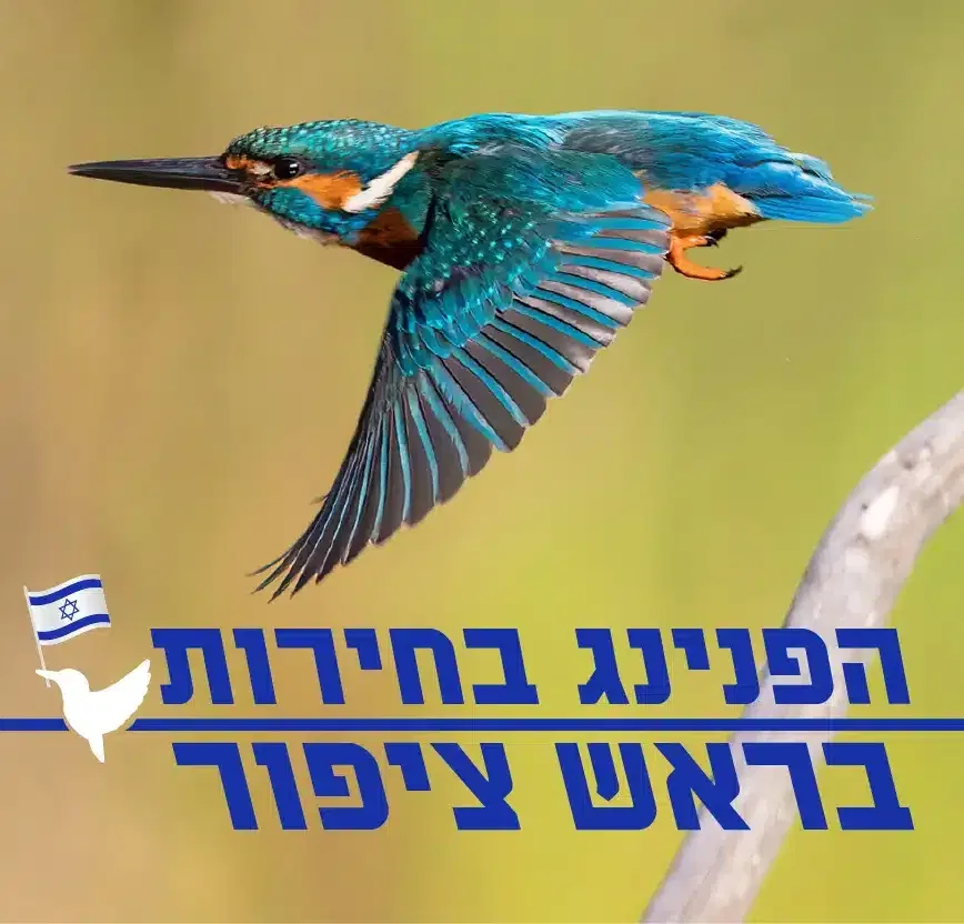 הפנינג בחירות בטבע