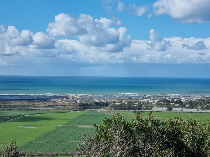 מטיילים עם נכדים ברמת הנדיב ועין צור